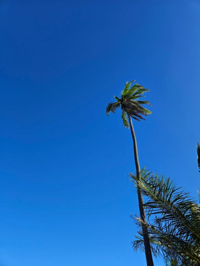 Al Mar Suites Praia do Forte Bagian luar foto